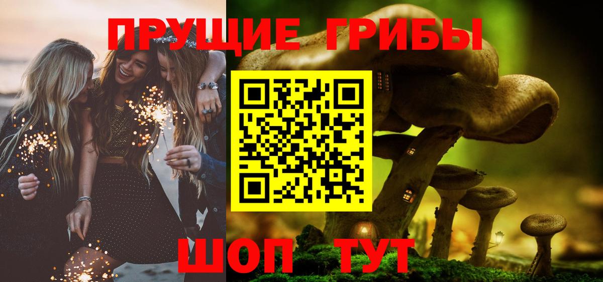Галлюциногенные грибы мицелий  Псилоцибиновые грибы GOLDEN TEACHER  Старая Купавна  Вход с VPN 